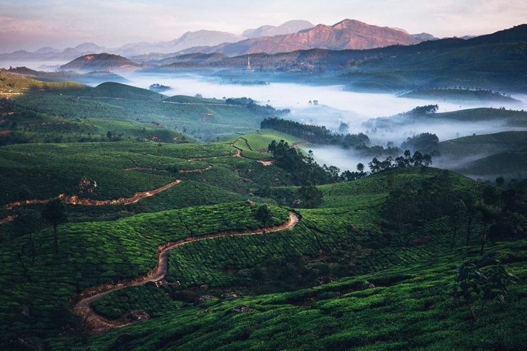 Re Discover Munnar With This Quick Travel Guide OYO Hotels Travel Blog   Feature Image Min 8 768x512 