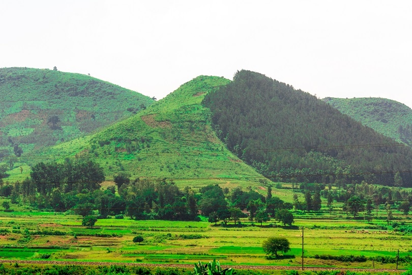 Araku Valley Hill Station In The Eastern Ghats 2 
