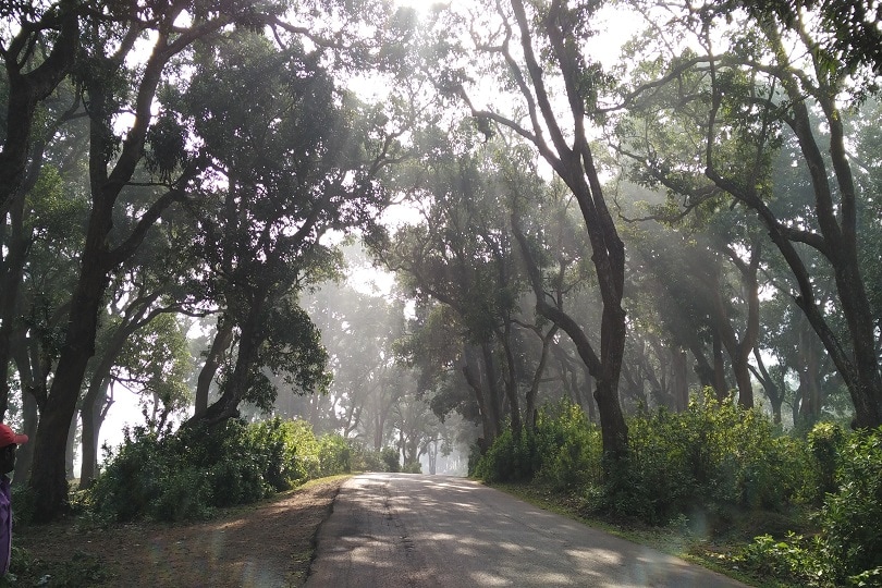 Araku Valley- Hill Station in the Eastern Ghats (4)