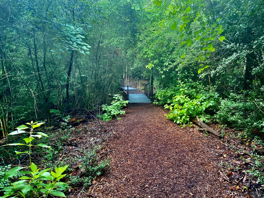 Houston Arboretum & Nature Center 