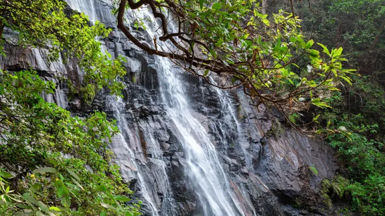 Pachmarhi, Madhya Pradesh, India | Typical scenery in the hi… | Flickr