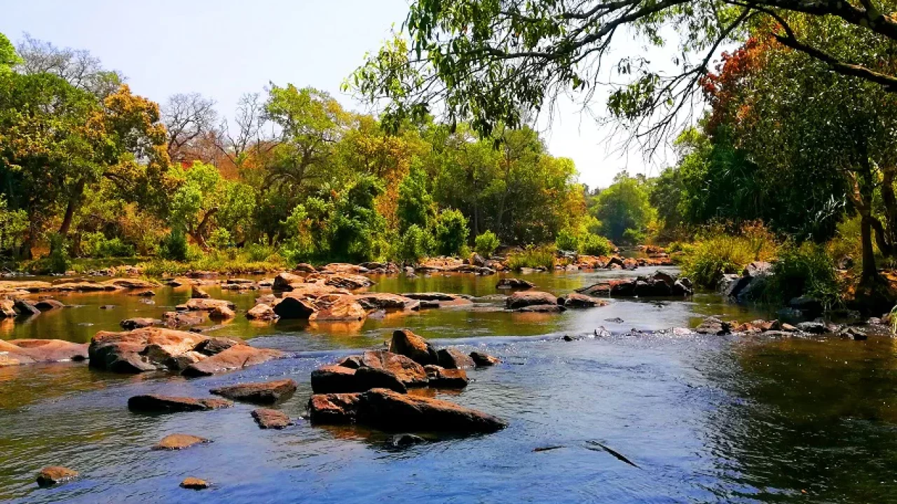 Kerala in March: an ode to natural beauty!