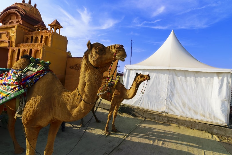 Rann of Kutch Festival