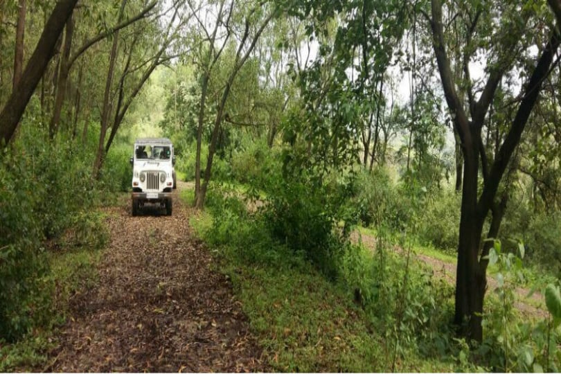 Chandoli National Park