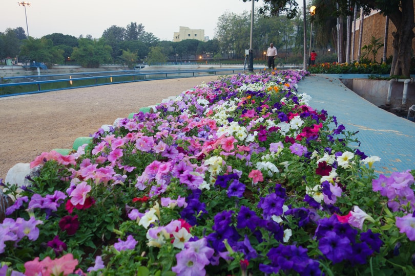 Jalagam Vengal Rao Park, Hyderabad