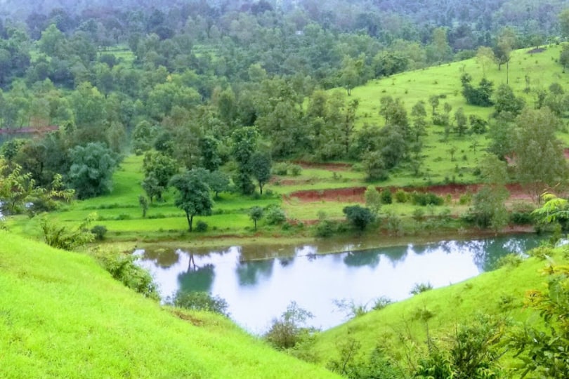 Koyna Wildlife sanctuary