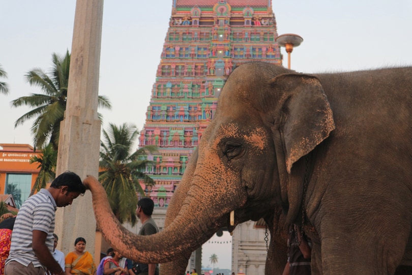 Sringeri