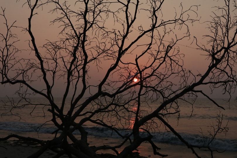 Fort Kochi Beach