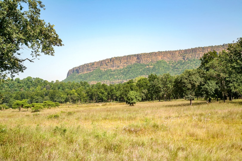 Bandhavgarh National Park