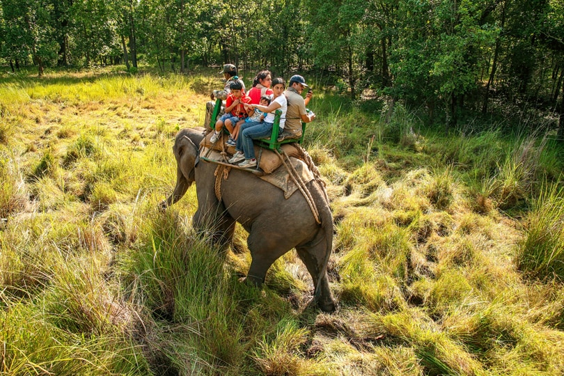 Bandhavgarh Nantional Park