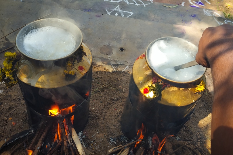 Preparation of Pongal - a sweet dish