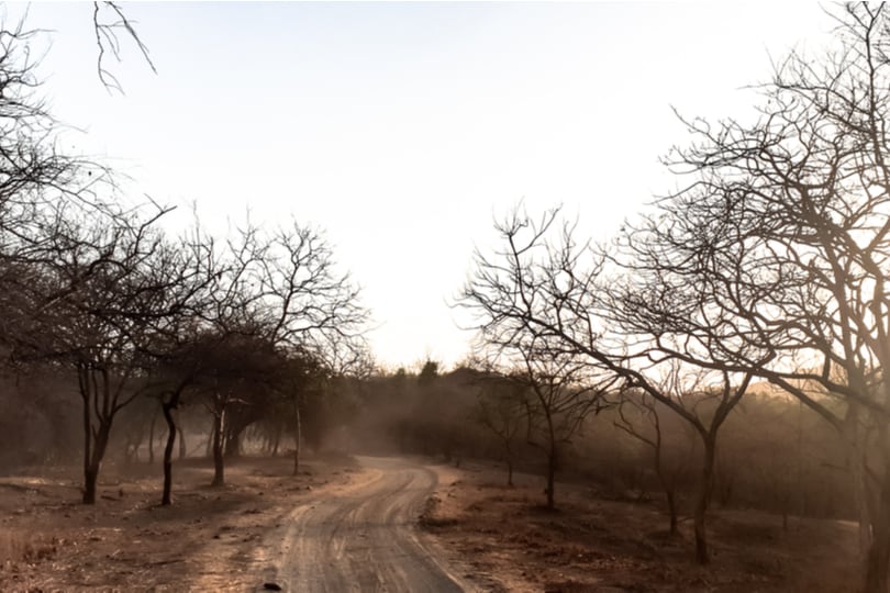 Gir National Park