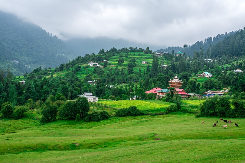 Himalayan-Nature-Park